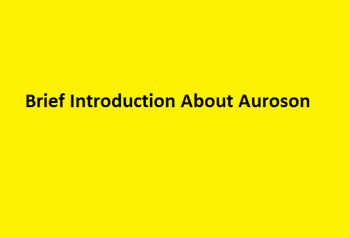 Brief Introduction About Auroson: