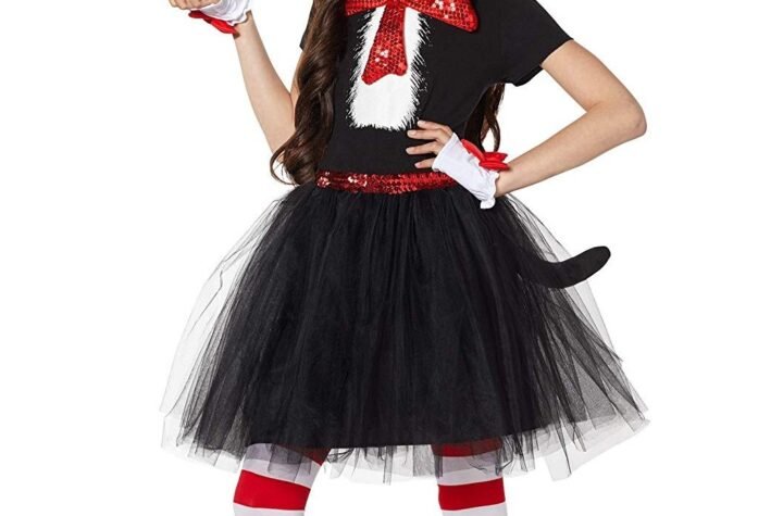 cat in the hat costume